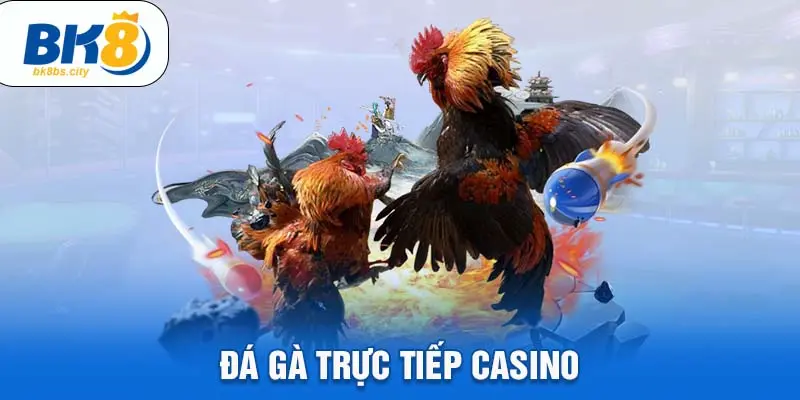 Đá gà trực tiếp casino