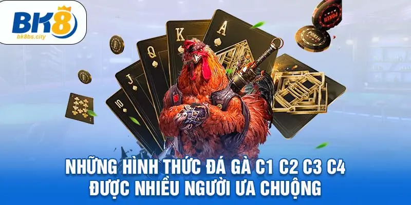 Những hình thức đá gà c1 c2 c3 c4 được nhiều người ưa chuộng