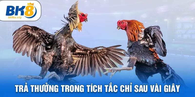 Trả thưởng trong tích tắc chỉ sau vài giây